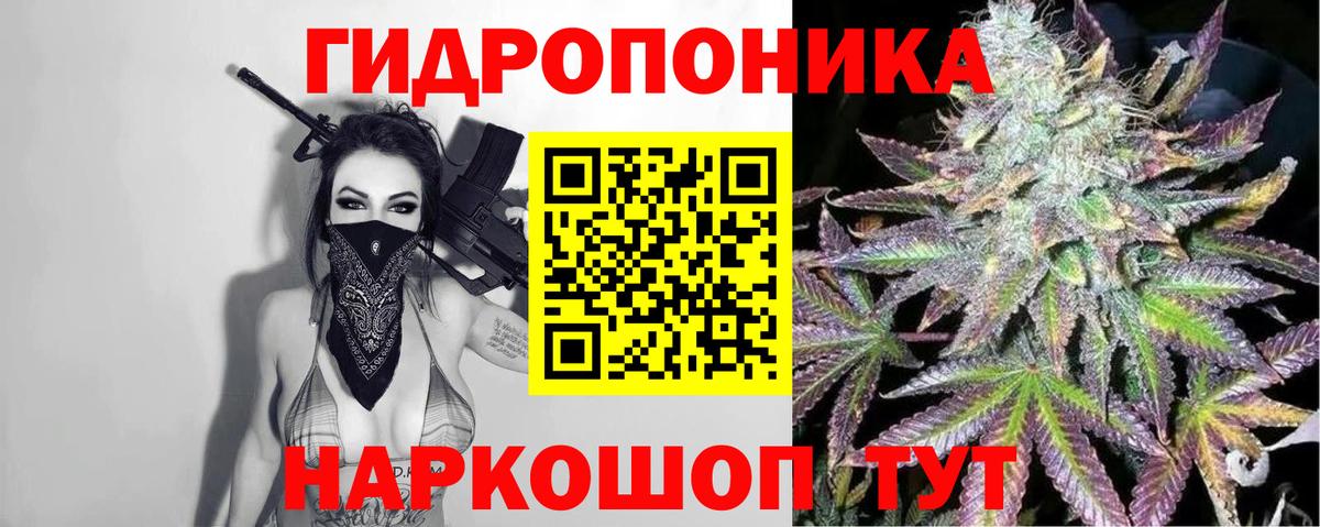 Бошки Шишки ГИДРОПОН  Каннабис семена  Вход с VPN  Бошки марихуана Ganja  Железноводск 